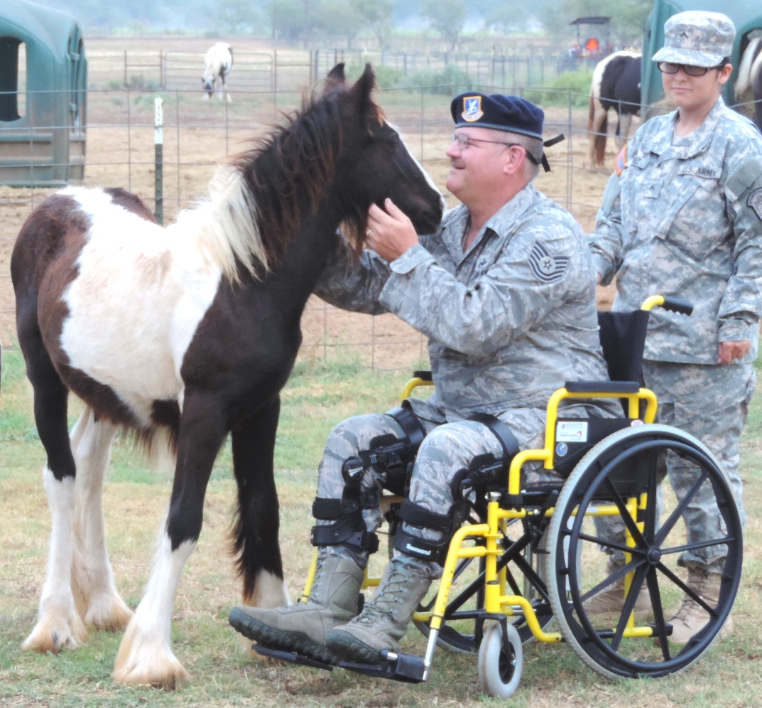 A veteran reaching out to greet a Gypsy Vanner foal at the ranch