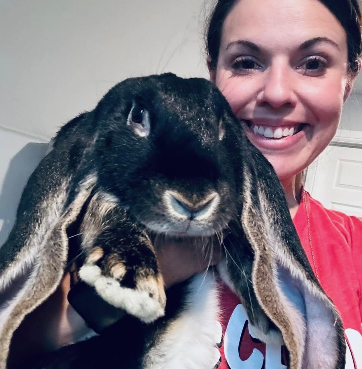 A volunteer holding a black lop-eared rabbit close